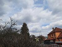 Olešná