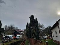 Olešná