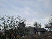 Olešná