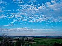 Odrovice