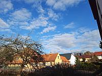 Olešná