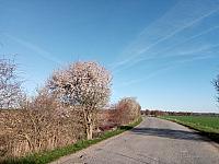 Lukovany