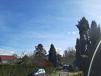 Olešná
