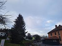 Olešná
