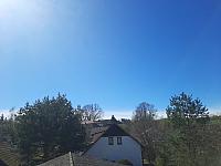 Olešná