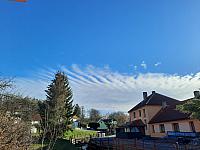 Olešná