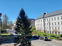 Český Těšín