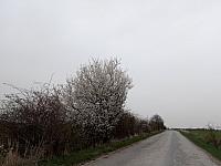 Lukovany