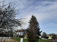 Olešná