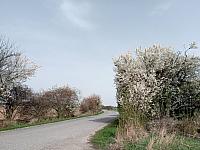 Lukovany