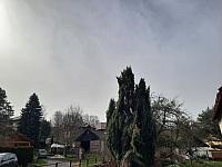 Olešná