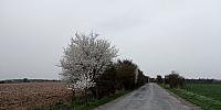 Lukovany