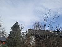 Olešná