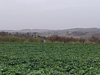 Třebíč-Borovina