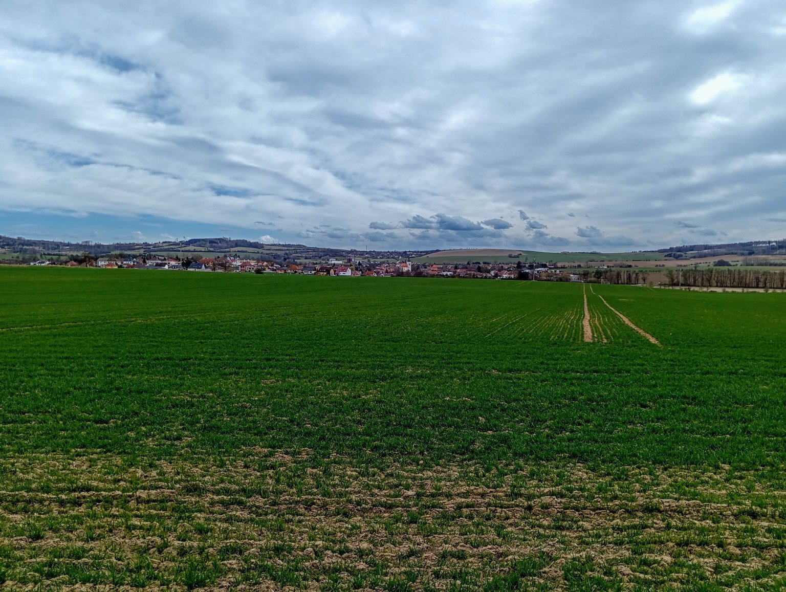 Stařeč