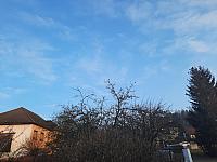 Olešná