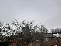 Olešná