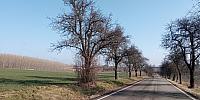 Lukovany