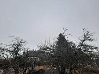 Olešná