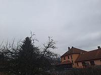 Olešná