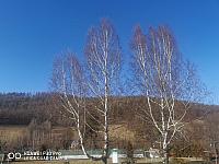 Holčovice
