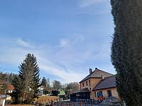 Olešná