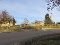 Třibřichy