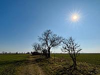 Hrnčiarovce nad Parnou
