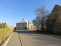 Třibřichy