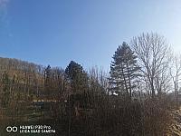 Holčovice