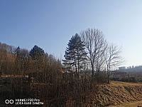 Holčovice