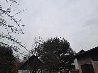 Olešná