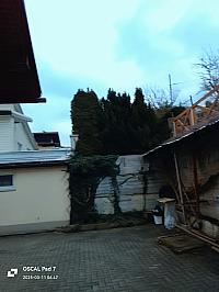 Nižná