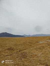 Nižná
