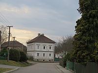 Třibřichy