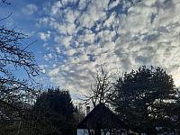 Olešná