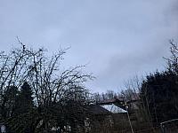 Olešná