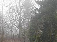 Němčice Zhoř