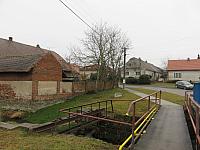 Třibřichy