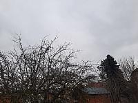 Olešná