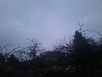 Olešná