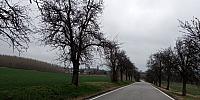 Lukovany