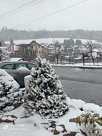 Nižná