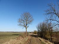 Dětenice-Brodek