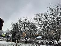 Olešná