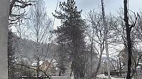 Hvozdnica