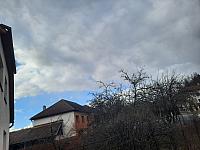 Olešná