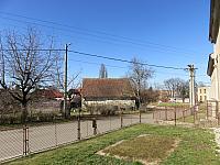 Třibřichy