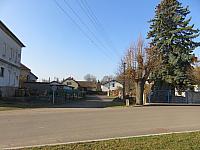 Třibřichy