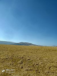 Nižná